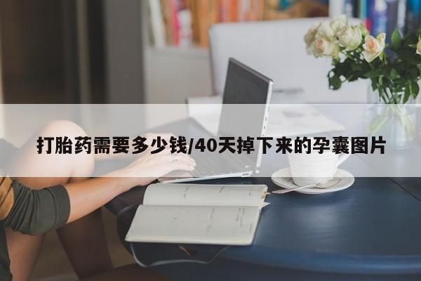 打胎药正品专卖微信打胎药需要多少钱/40天掉下来的孕囊图片